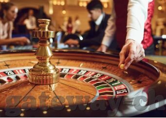 163计划软件-探索未来科技与教育的交汇点——解析163计划软件